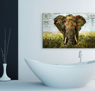 Aluminio dibond baño elefante
