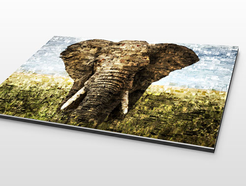 Foto mosaico aluminio dibond elefante