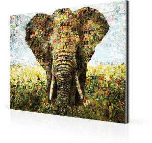 Foto mosaico aluminio motivo elefante
