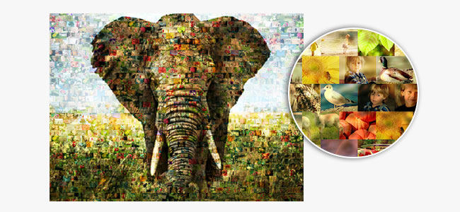 Funcion un foto mosaico elefante