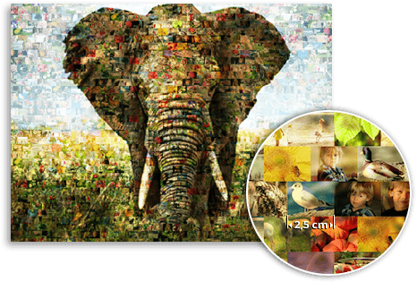 aterrizaje detalle mosaico elefante