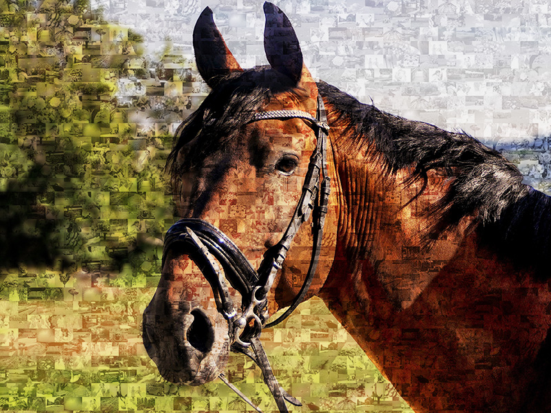 Mosaico de caballo