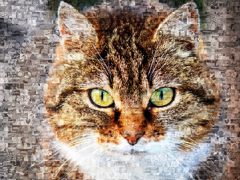 Mosaico de gato